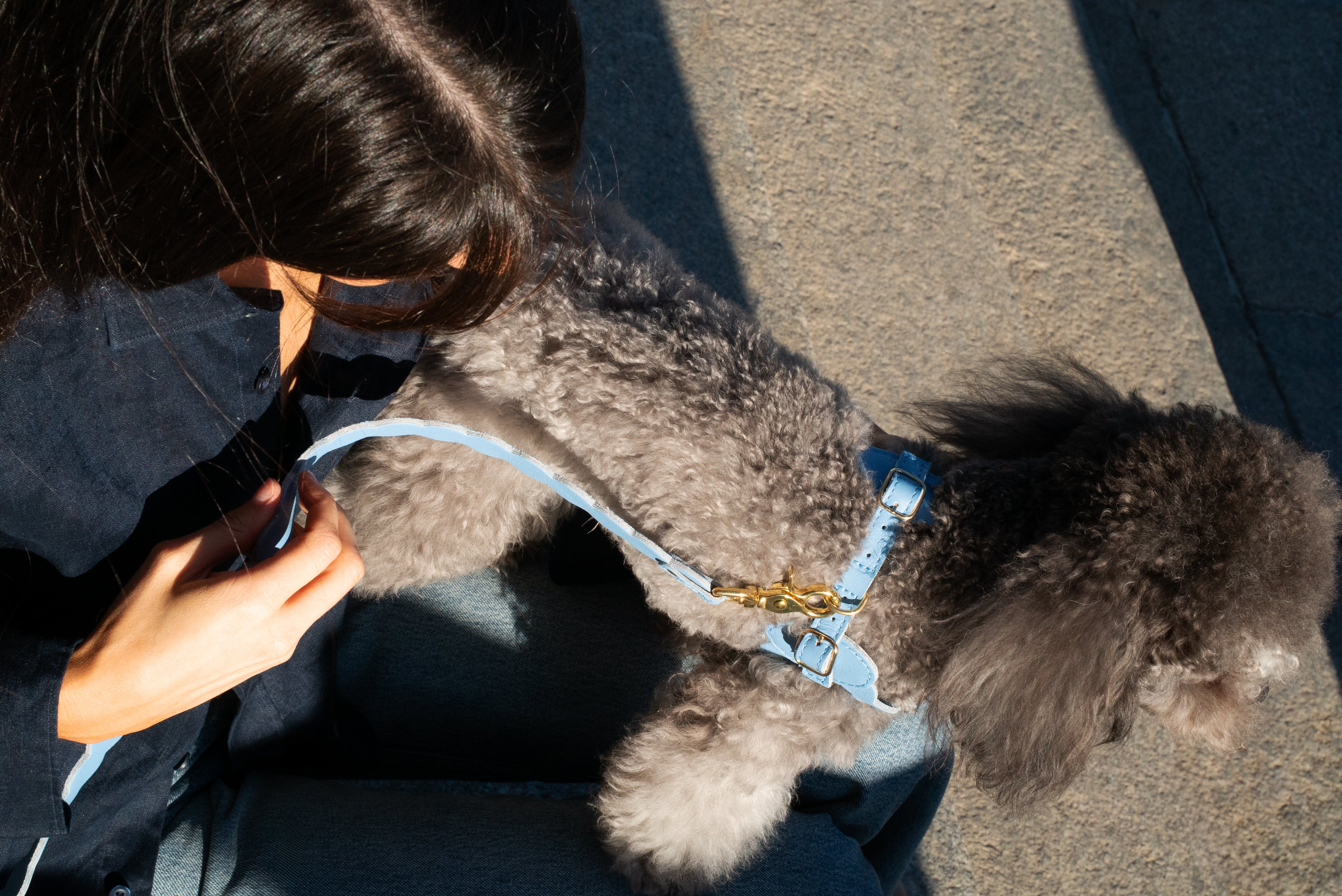 KIT ARNÉS NAMI AZUL