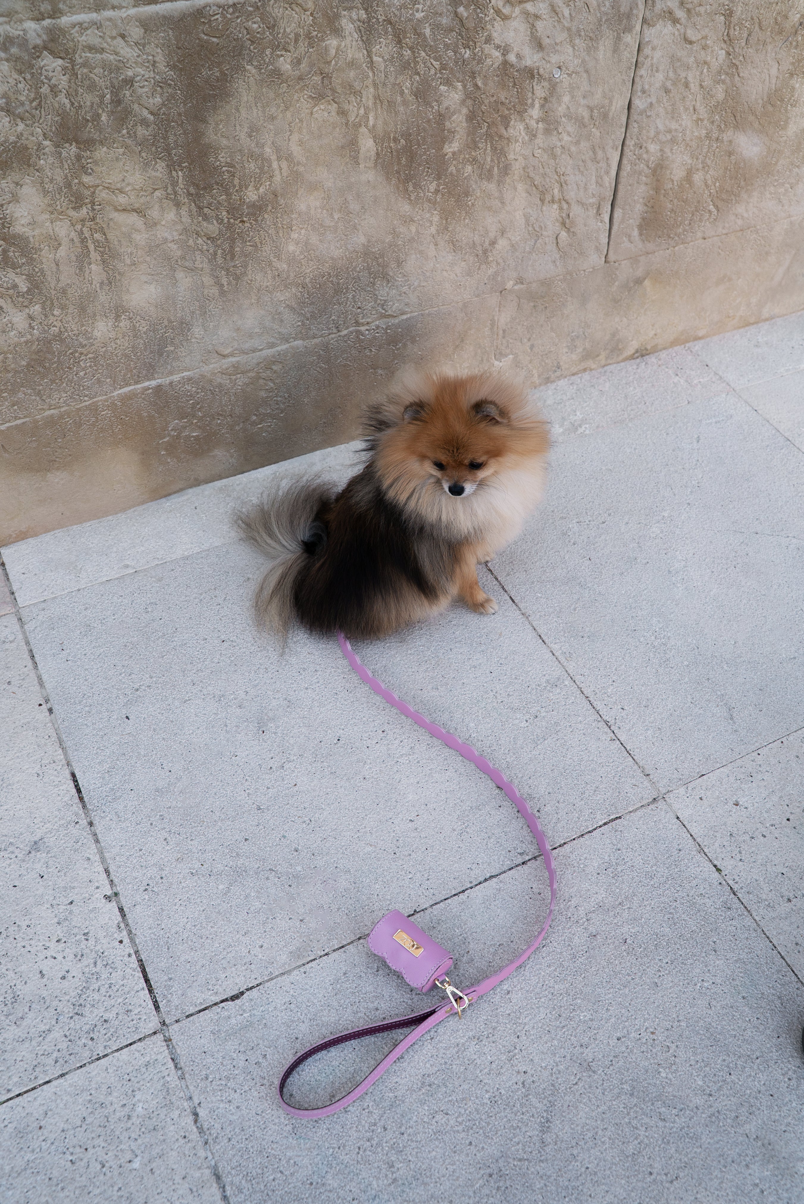 PORTABOLSAS NAMI ROSA