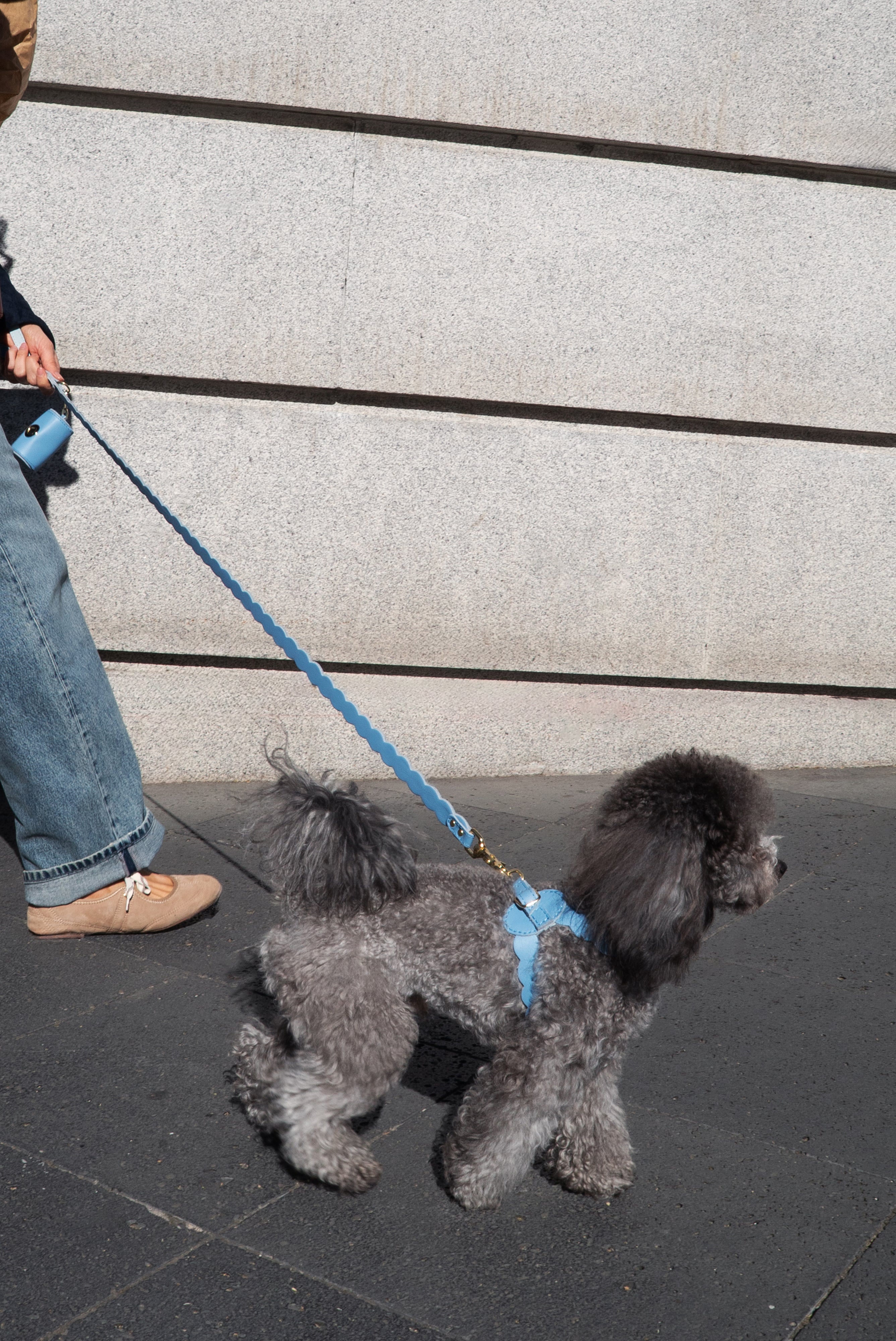 KIT ARNÉS NAMI AZUL