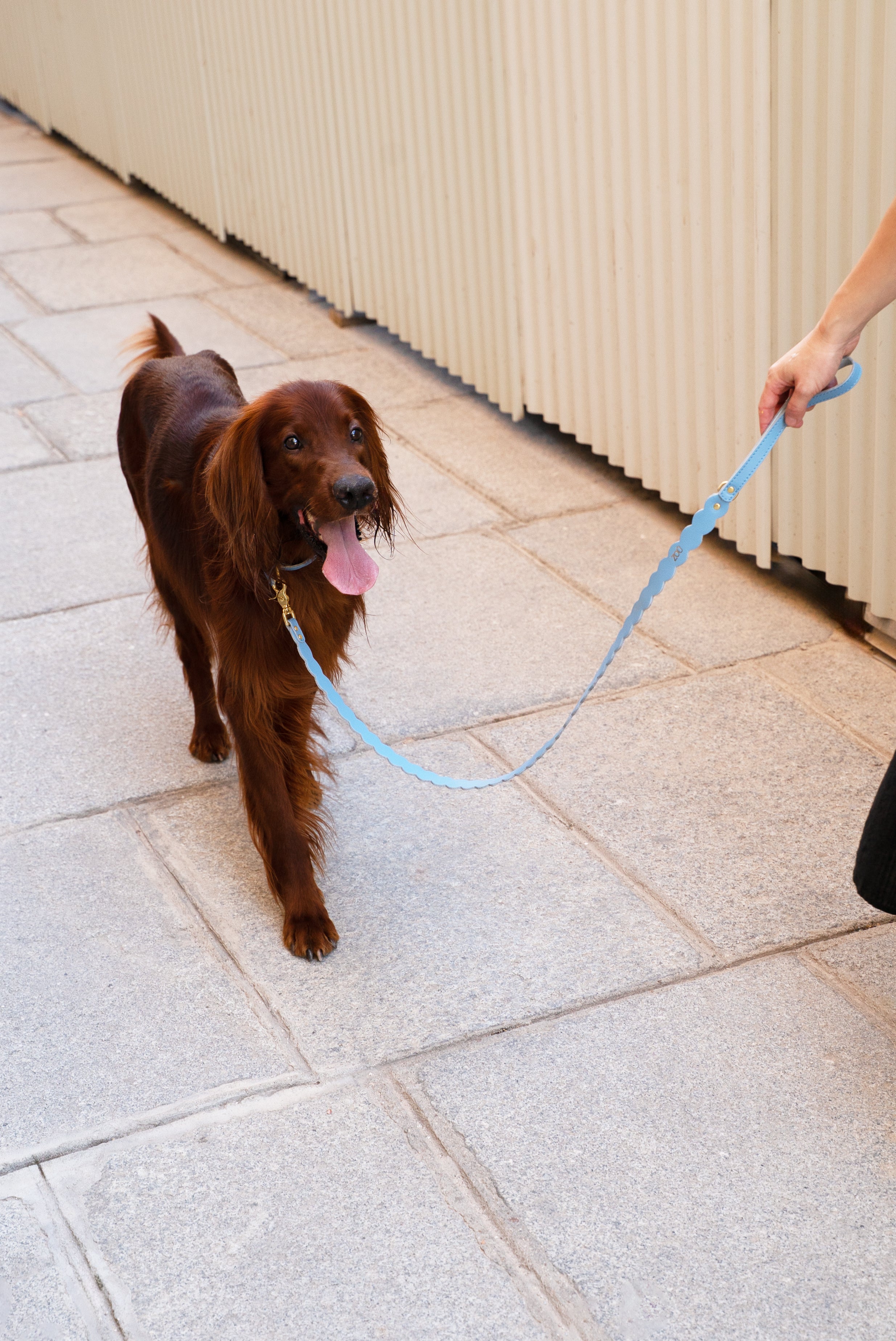 KIT-COLLAR NAMI AZUL