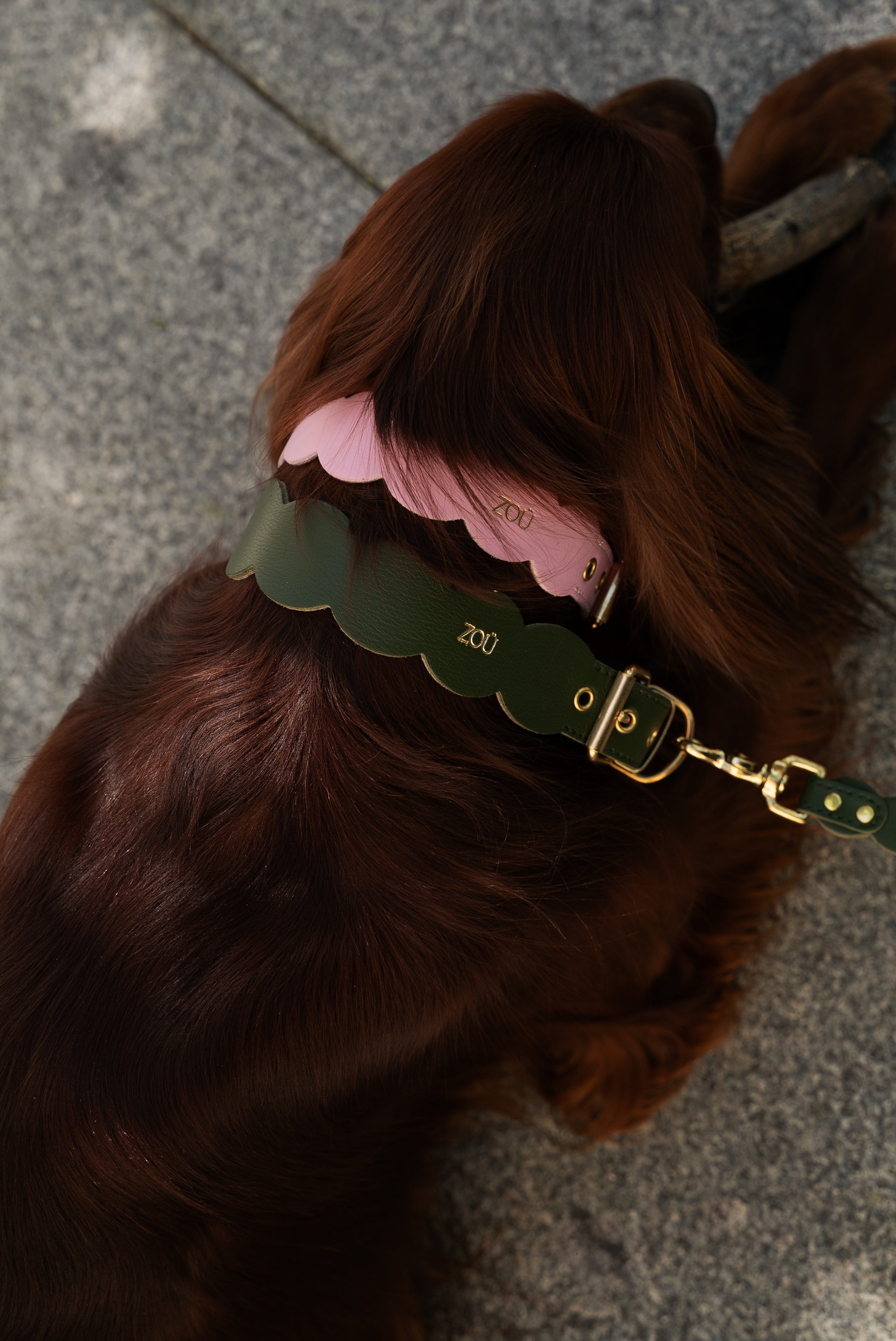 KIT-COLLAR NAMI  ROSA