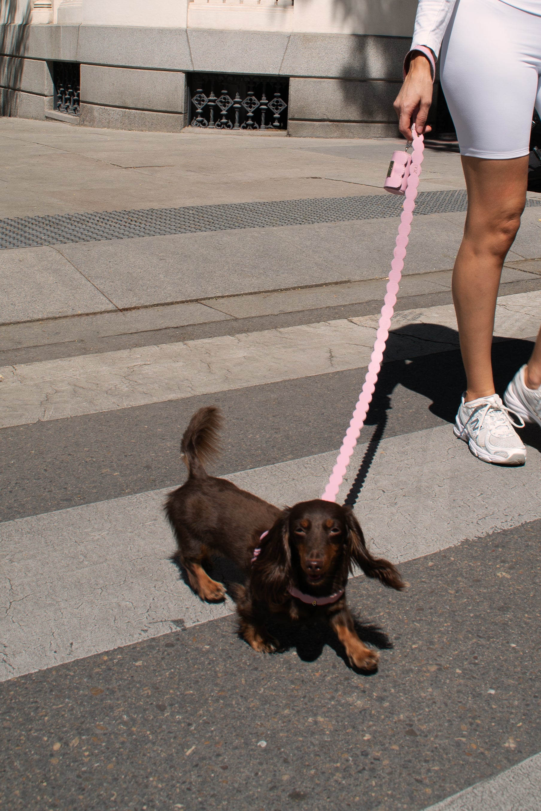 PORTABOLSAS NAMI ROSA